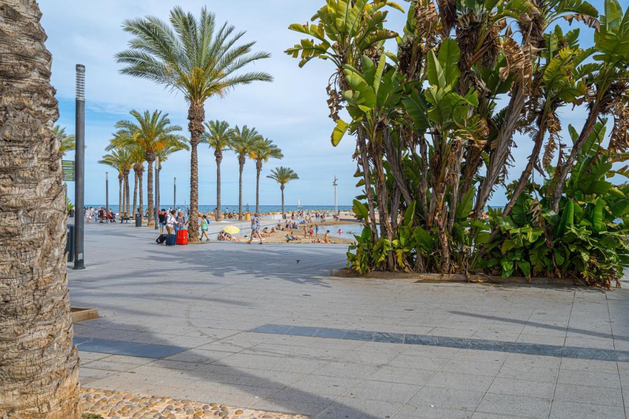 Casa Terra: Apartment 50 Meters From The Beach Torrevieja Buitenkant foto